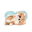 Swapseazzz Adoramals Shuggs the Shiba Inu 2-in-1 Plush Travel Pillow & Toy - Gift Arch