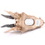 Dragon Skull Money Box - Gift Arch