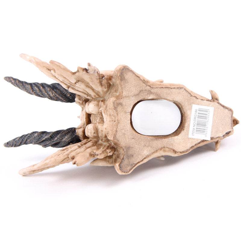 Dragon Skull Money Box - Gift Arch