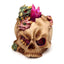 Elements Baby Dragon LED Crystal Skull - Gift Arch