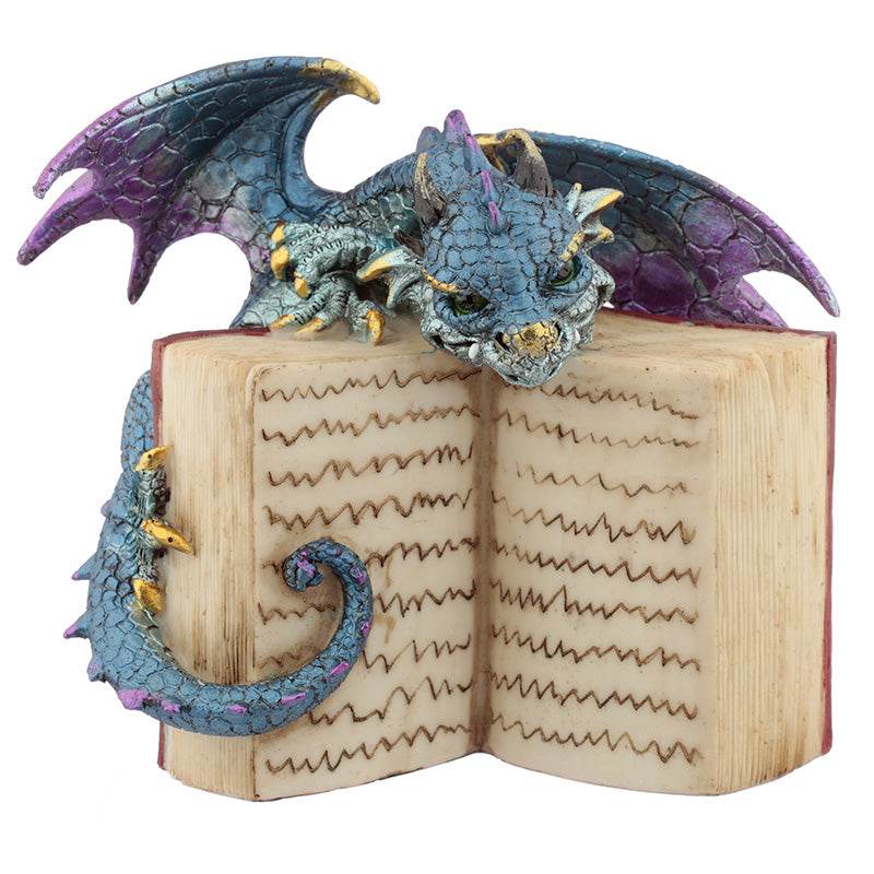 Elements Dragon with Book - Gift Arch
