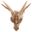 Large Dragon Skull Decoration - Gift Arch