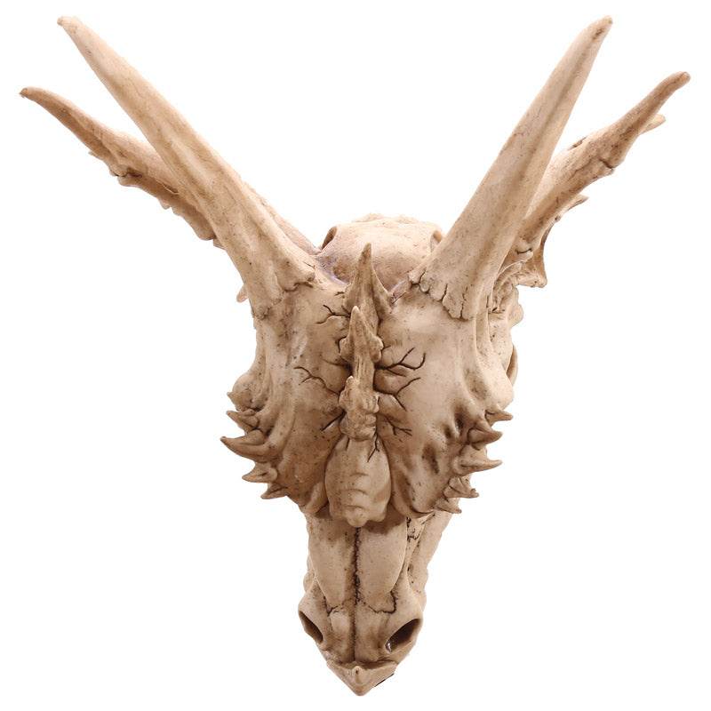 Large Dragon Skull Decoration - Gift Arch