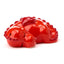 Red Dragon Ceramic Salt & Pepper Set - Gift Arch