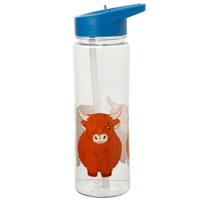 550ml Water Bottle Highland Coo Cow - Gift Arch