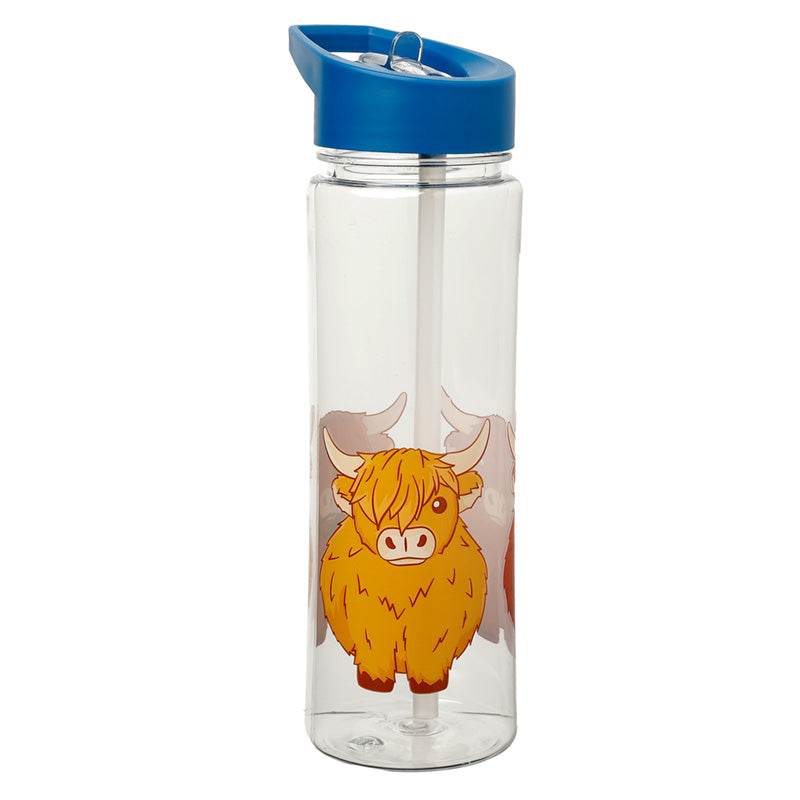 550ml Water Bottle Highland Coo Cow - Gift Arch