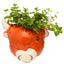 Ceramic Highland Coo Cow Head Wall Planter/Plant Pot - Gift Arch