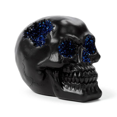 Black Crystal Cave Skull - Gift Arch