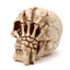Gruesome Skull Head with Skeleton Claw Hand - Gift Arch