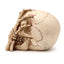 Gruesome Skull Head with Skeleton Claw Hand - Gift Arch