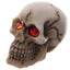 Gruesome Skull with Red Gem Eyes Decoration - Gift Arch