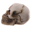 Gruesome Skull with Red Gem Eyes Decoration - Gift Arch
