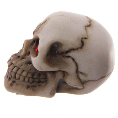 Gruesome Skull with Red Gem Eyes Decoration - Gift Arch