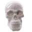Gruesome Small Skull Decorations - Gift Arch