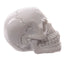 Gruesome Small Skull Decorations - Gift Arch