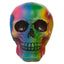 Rainbow Skull Decoration - Gift Arch
