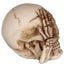 Set of 3 Small See No, Hear No, Speak No Evil Skulls - Gift Arch