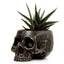 Skull Garden Planter - Gift Arch