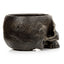 Skull Garden Planter - Gift Arch