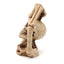 Skull & Skeleton Arms Heart - Gift Arch