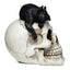 Skull with Black Cat Ornament - Gift Arch