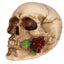 Skull with Rose in Teeth - Gift Arch