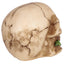 Skull with Rose in Teeth - Gift Arch