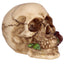 Skull with Rose in Teeth - Gift Arch