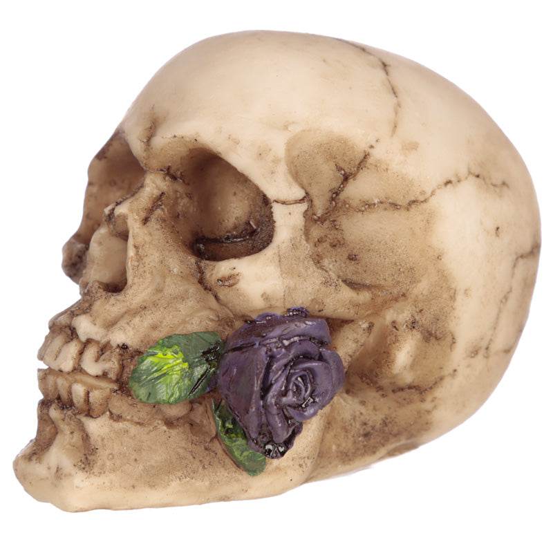 Skull with Rose in Teeth - Gift Arch