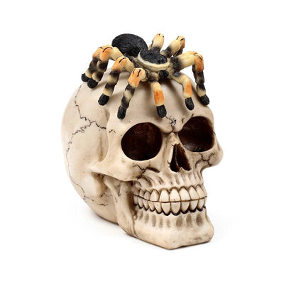 Skull with Spider - Gift Arch