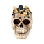 Skull with Spider - Gift Arch