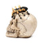 Skull with Spider - Gift Arch