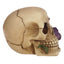 Skulls and Roses Skull with Purple Roses - Gift Arch