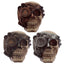 Steampunk Skull Head Ornament - Gift Arch