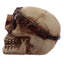 Steampunk Skull Head Ornament - Gift Arch
