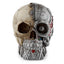Steampunk Style Skull Half Robot Head - Gift Arch