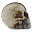 Steampunk Style Skull Half Robot Head - Gift Arch