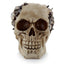 Steampunk Style Skull with Cogs & Gears - Gift Arch