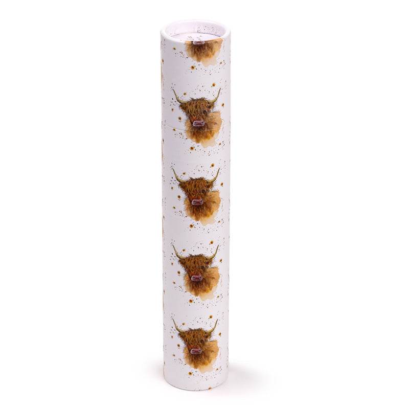 Jan Pashley Highland Coo Cow Large Pencil Pot with 12 Colouring Pencils - Gift Arch