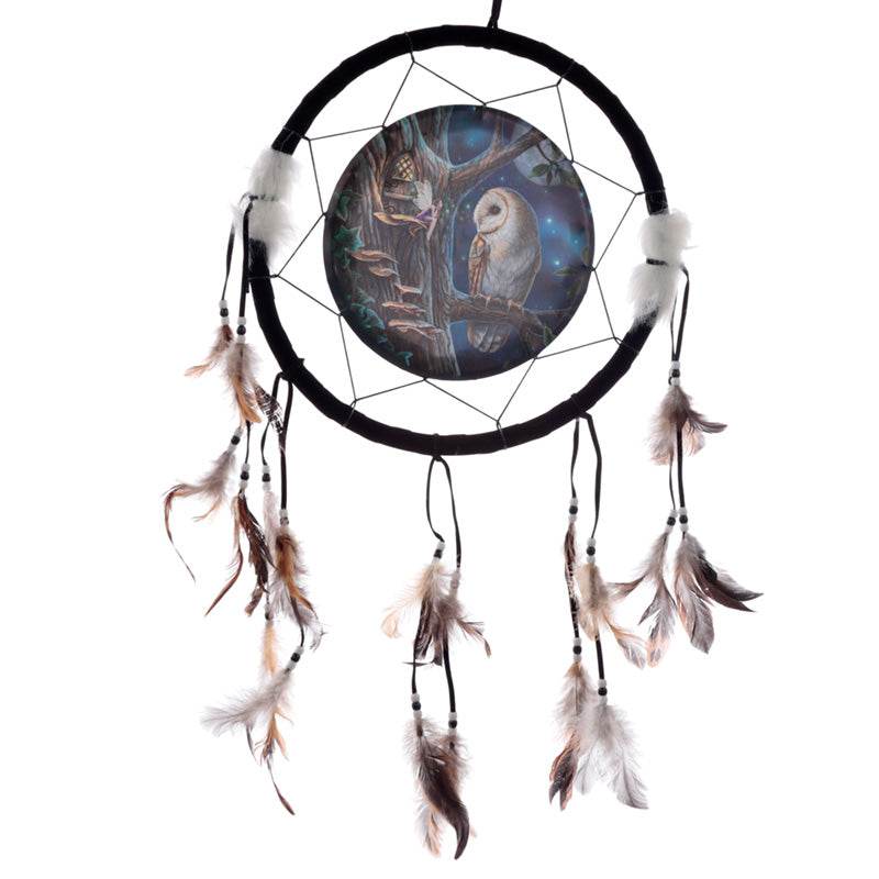 Lisa Parker Fairy Tales Owl & Fairy Dreamcatcher 33cm - Gift Arch