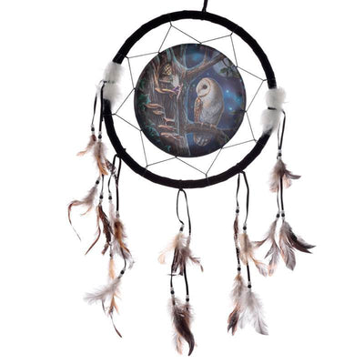 Lisa Parker Fairy Tales Owl & Fairy Dreamcatcher 33cm - Gift Arch