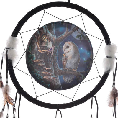 Lisa Parker Fairy Tales Owl & Fairy Dreamcatcher 33cm - Gift Arch
