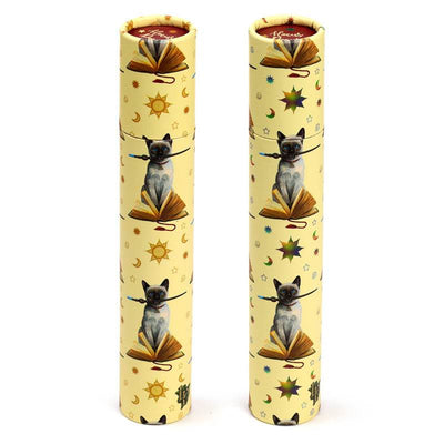 Lisa Parker Hocus Pocus Cat Large Pencil Pot with 12 Colouring Pencils - Gift Arch