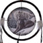 Lisa Parker Snow Kisses Wolf Dreamcatcher 16cm - Gift Arch