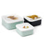 Set of 3 Lunch Box M/L/XL Jan Pashley Highland Coo Cow - Gift Arch