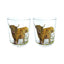 Jan Pashley Highland Coo Set of 2 Glass Tumblers 250ml - Gift Arch