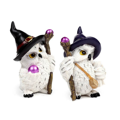 Wise Old Magical Owl on a Magical Journey - Gift Arch