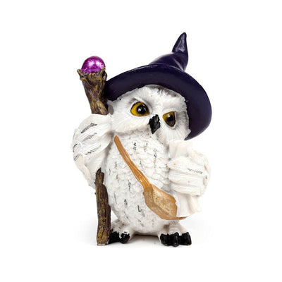 Wise Old Magical Owl on a Magical Journey - Gift Arch