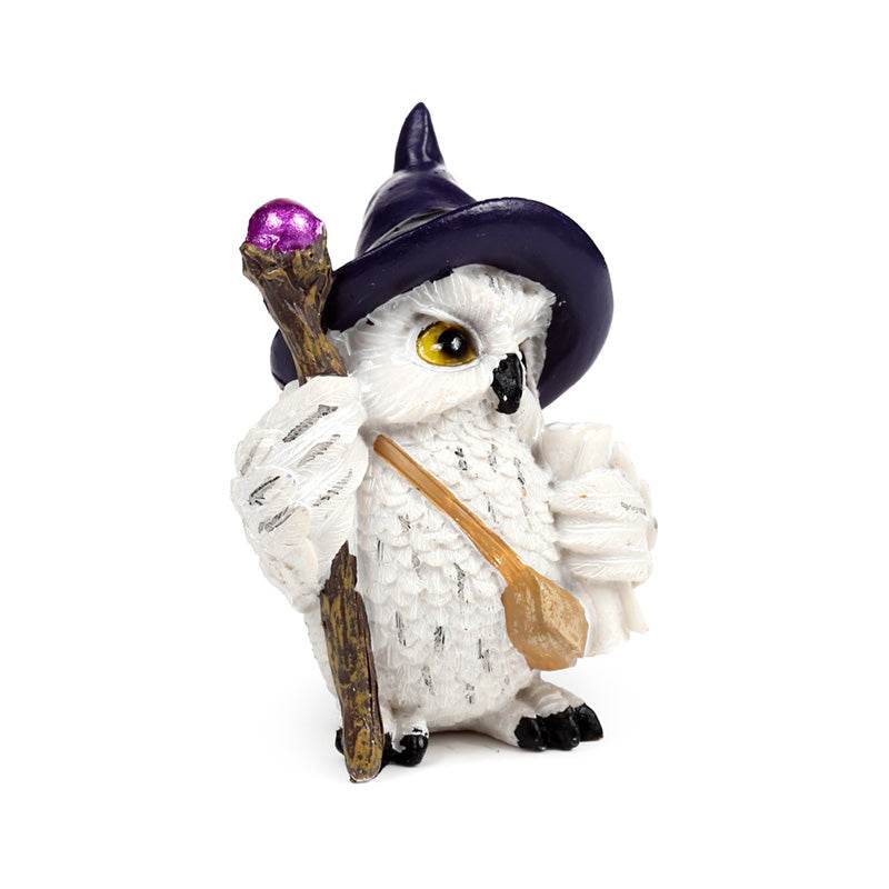 Wise Old Magical Owl on a Magical Journey - Gift Arch