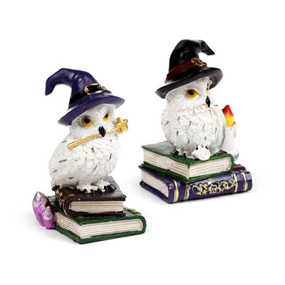 Wise Old Magical Owl on Spell Books - Gift Arch